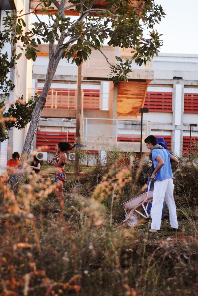 Jardim LR - 3